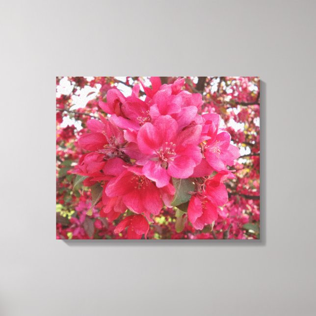 Spring Time Flower Canvas Print (Front)