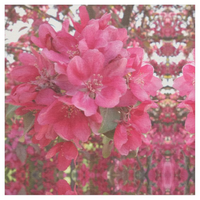 Spring Time Flower Fabric (Close Up)