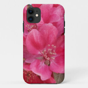 Spring Time Flower iPhone 5/5S, Barely There 11 Case