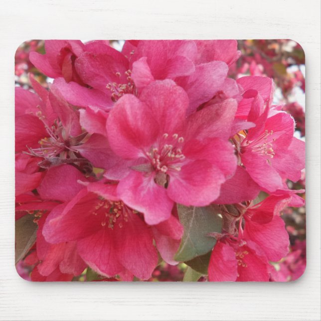 Spring Time Flower Mousepad (Front)