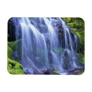 Spring-time fresh water flowing over moss magnet
