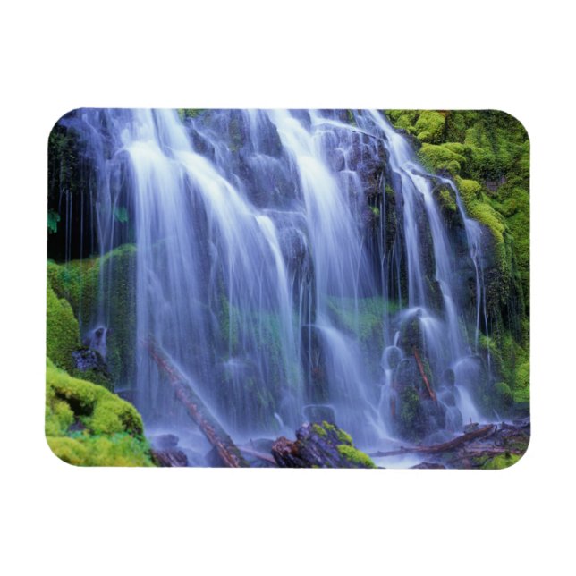Spring-time fresh water flowing over moss magnet (Horizontal)