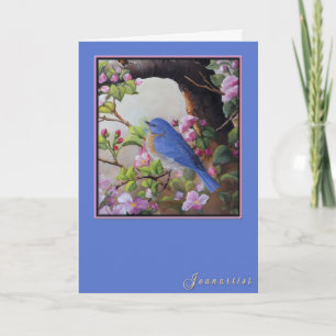 Spring Time Greeting Card