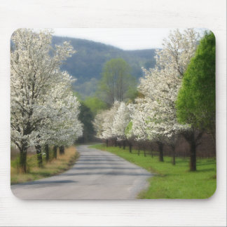 Spring time in the country mouse mat