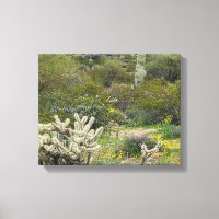 Spring Time in the Desert Photograph
