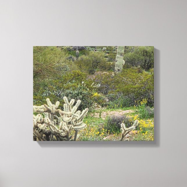 Spring Time in the Desert Photograph Canvas Print (Front)