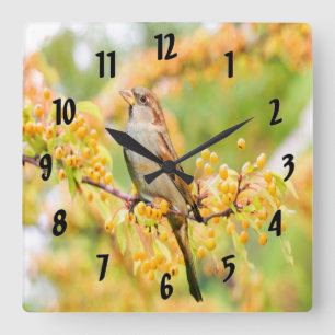 Spring Time Sparrow Square Wall Clock