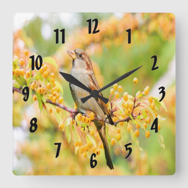 Spring Time Sparrow Square Wall Clock (Front)