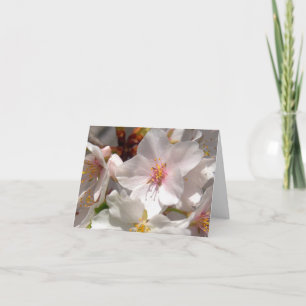 Spring Time Thank You Card