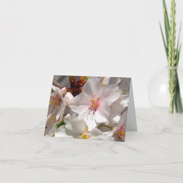 Spring Time Thank You Card (Front)