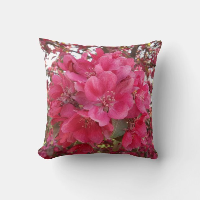 Spring Time Throw Pillow (Front)