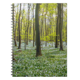 Spring to Life Notebook