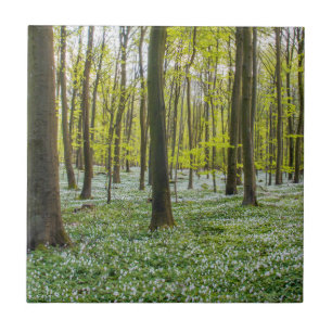 Spring to Life Tile