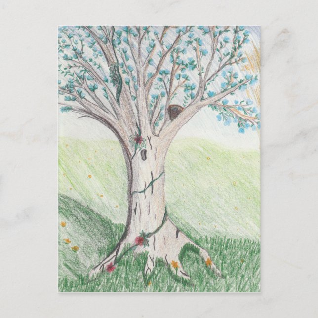 Spring tree Postcard (Front)