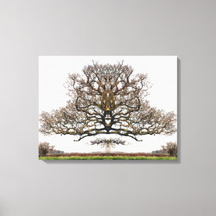 SPRING TREES CANVAS PRINT