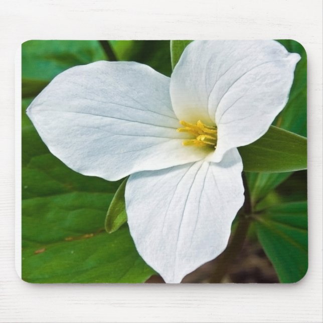Spring Trillium Mouse Mat (Front)
