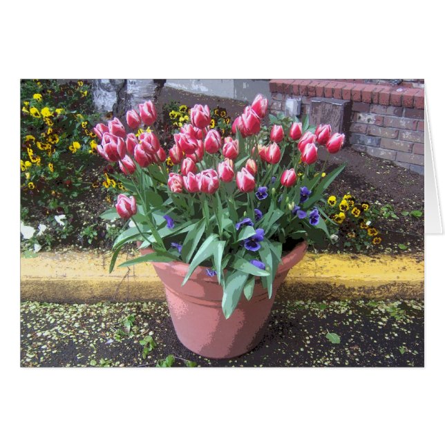Spring Tulip Clay Pot (Front Horizontal)