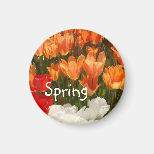 Spring Tulip Flowers magnets Orange Tulips