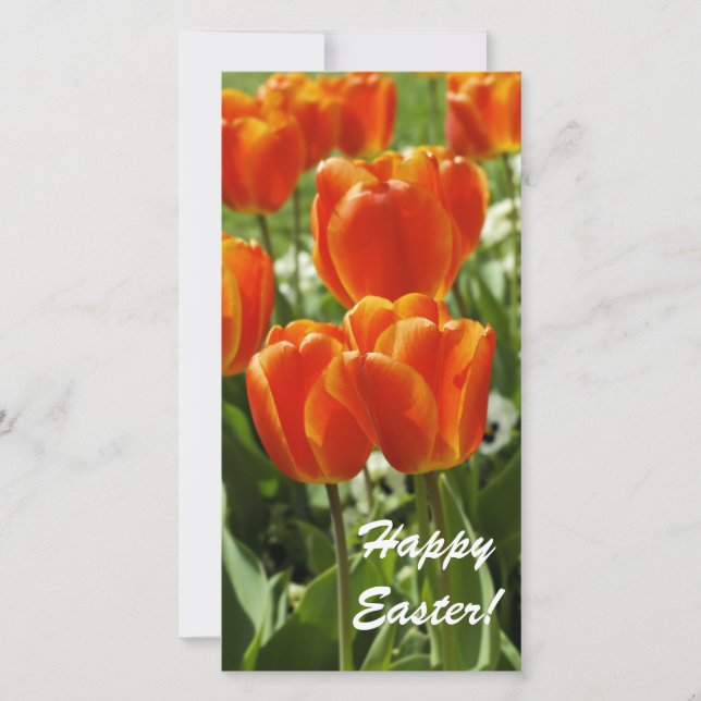Spring Tulip Garden Holiday Card (Front)