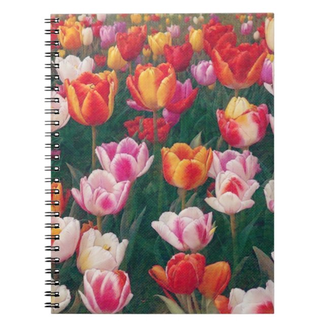 Spring Tulip Garden Journal Notebook (Front)
