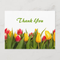 Spring Tulip Garden Thank You Postcard
