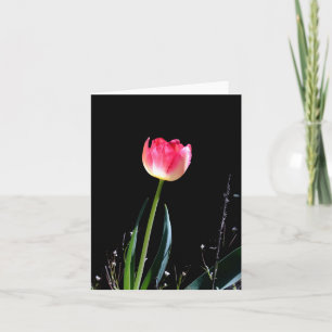Spring tulip note card