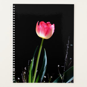 Spring tulip planner