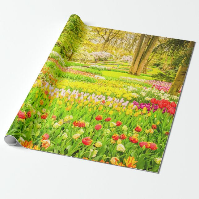 Spring Tulips and Daffodils Park Wrapping Paper (Unrolled)