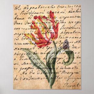 Spring Tulips and Handwriting Poster