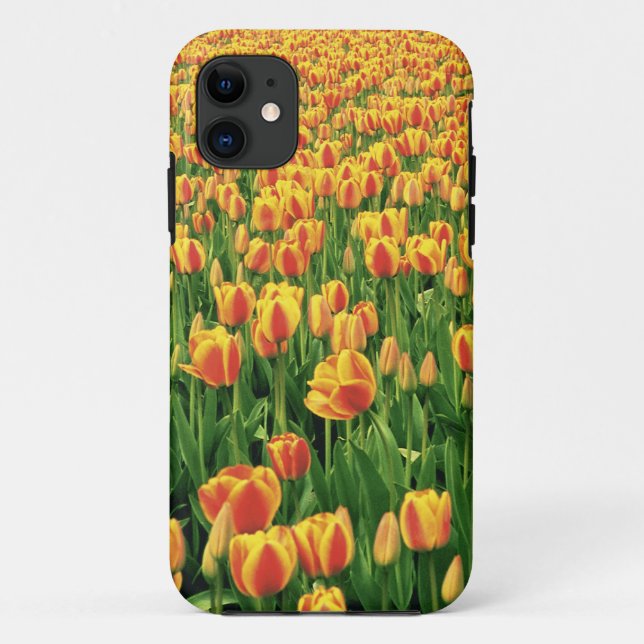 Spring tulips bloom in front of old barn. Case-Mate iPhone case (Back)