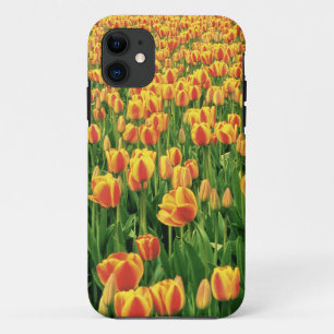 Spring tulips bloom in front of old barn. iPhone 11 case