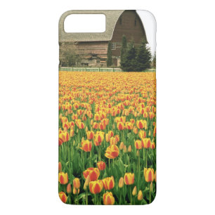 Spring tulips bloom in front of old barn. iPhone 8 plus/7 plus case