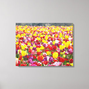 Spring Tulips Canvas Panels Custom Fine Art Print