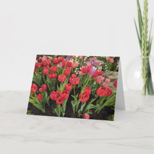 Spring tulips card