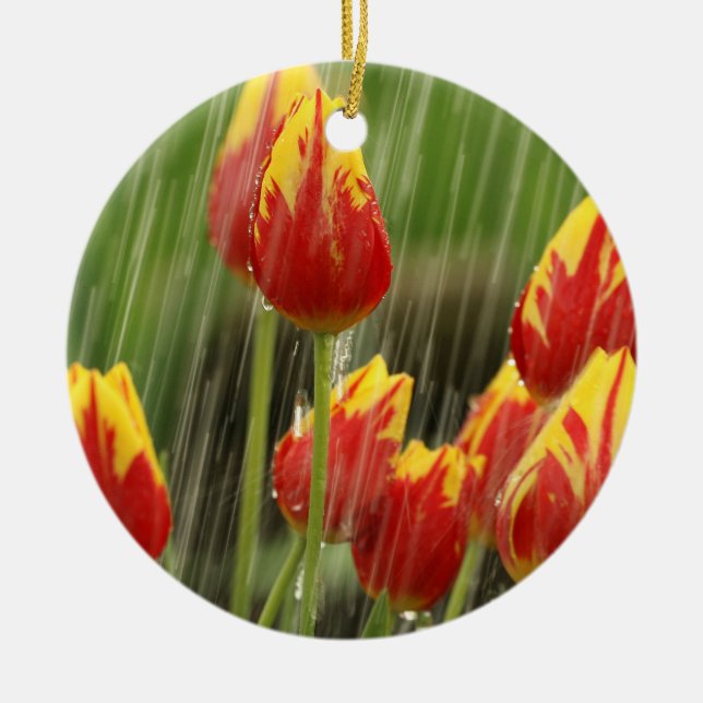 Spring Tulips Ceramic Tree Decoration (Front)