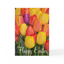 Spring tulips Easter greeting card
