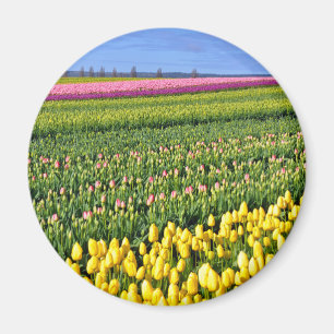 Spring tulips field magnet