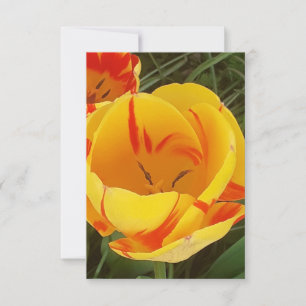 Spring Tulips Flat Greeting Card