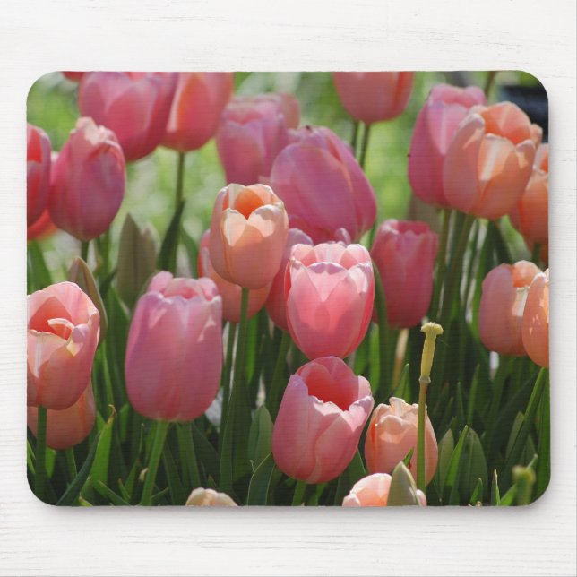 Spring Tulips Mouse Mat (Front)