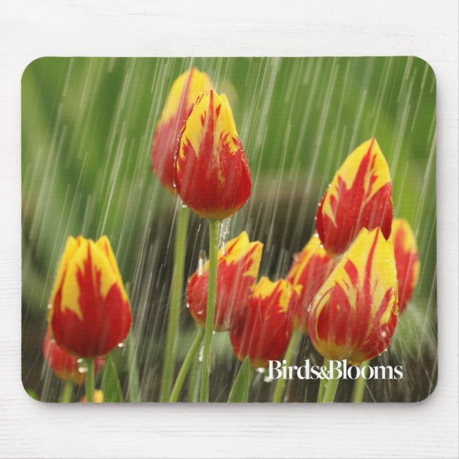 Spring Tulips Mouse Mat (Front)