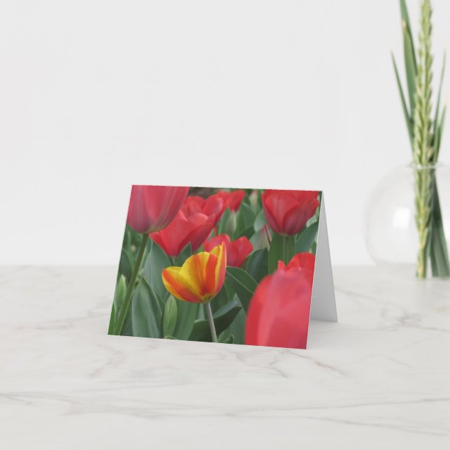Spring Tulips Note Card (Front)