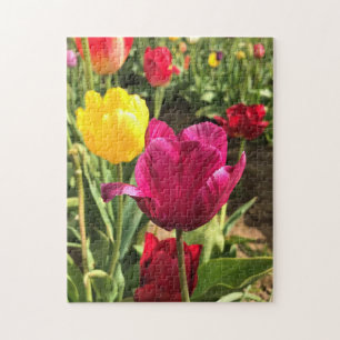 Spring Tulips, Oregon Jigsaw Puzzle