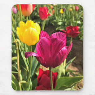Spring Tulips, Oregon Mouse Mat