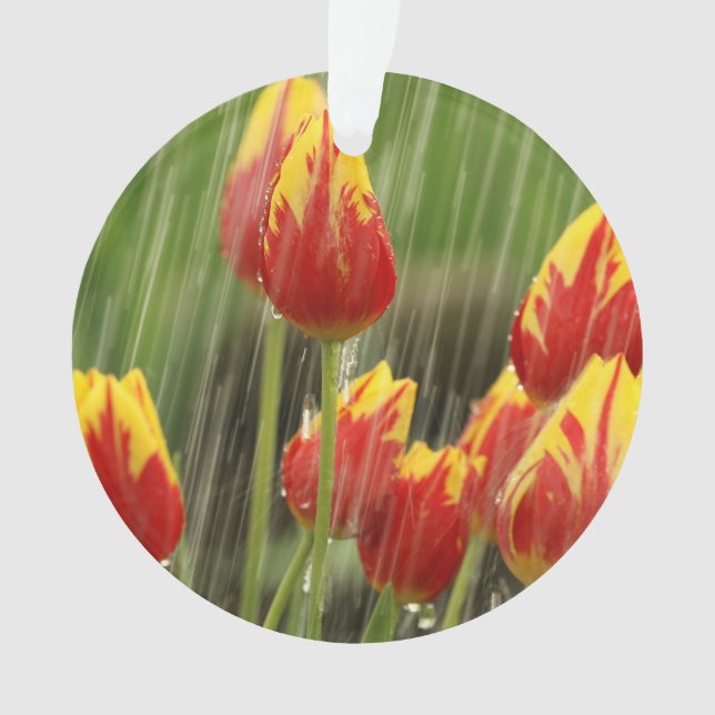 Spring Tulips Ornament (Front)