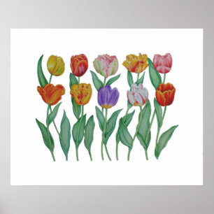Spring Tulips Poster