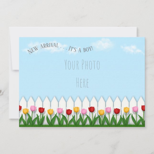 Spring Tulips White Picket Fence Custom Photo Announcement (Front)