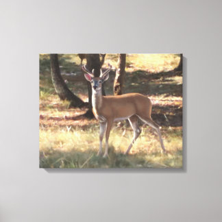 Spring Velvet canvas