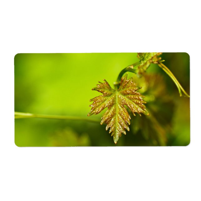 Spring Vine Leave (Front)