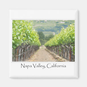 Spring Vineyard in Napa Valley California Magnet