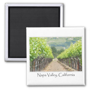 Spring Vineyard in Napa Valley California Magnet